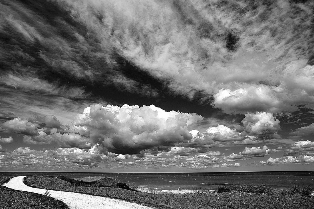 Natural Park of Punta Aderci, Vasto.