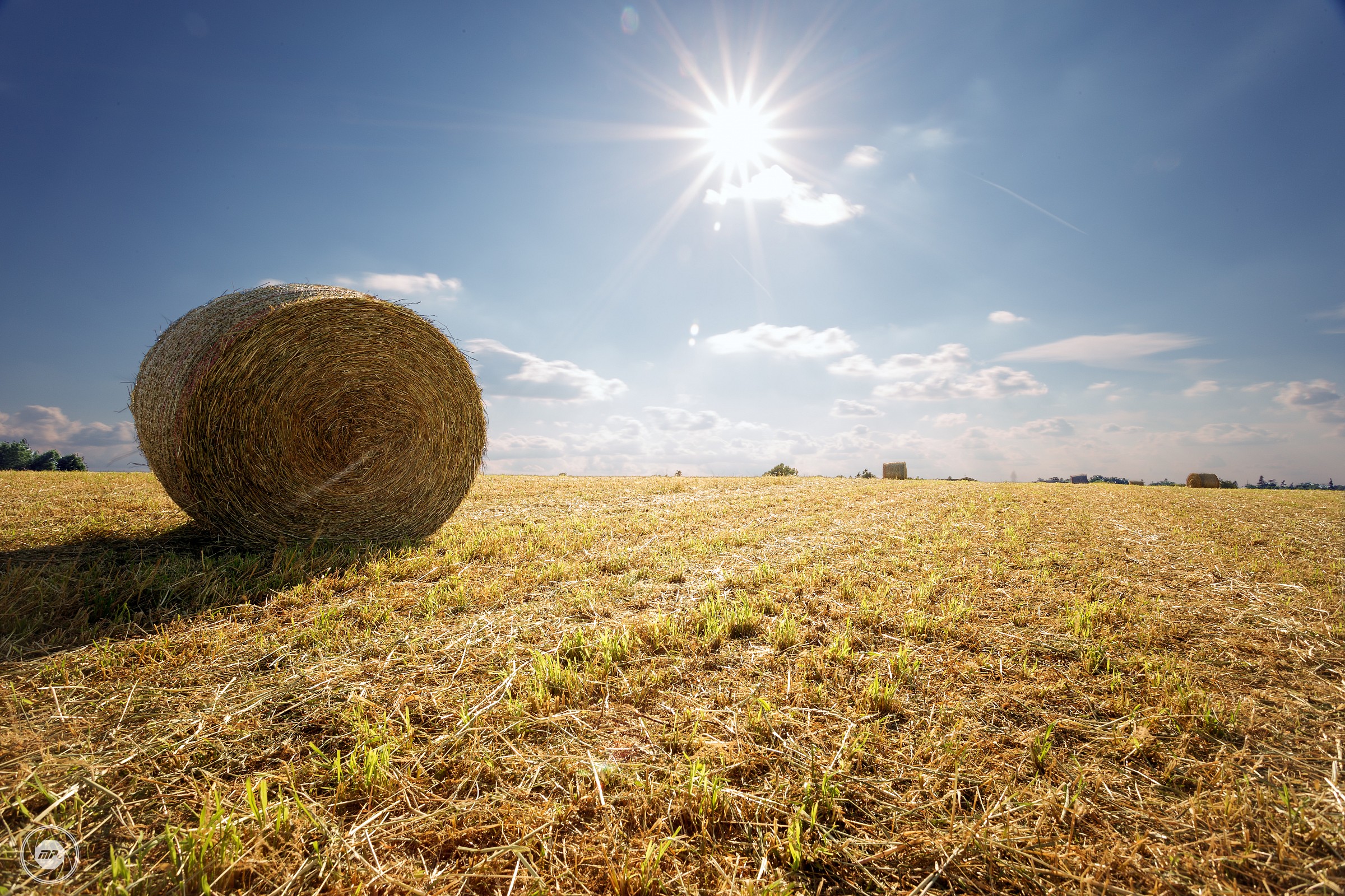 Bale of hay in monterotondo