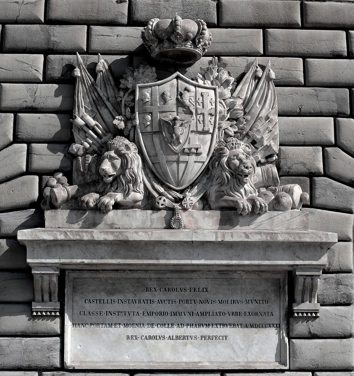 rex - carolvs - felix