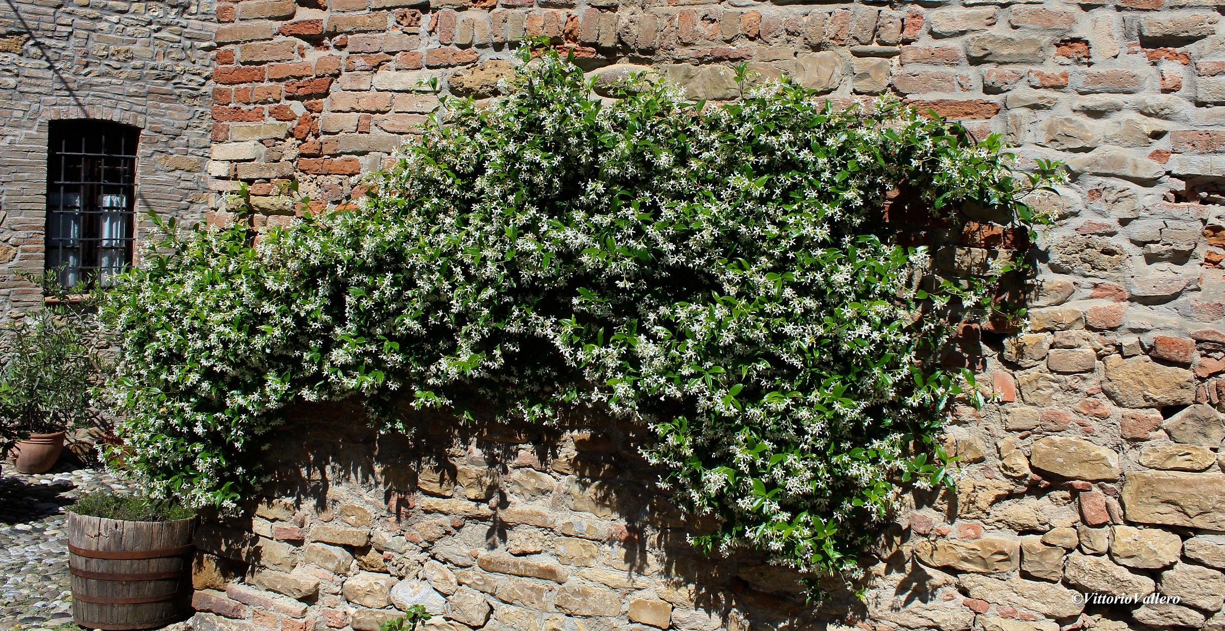 Castell'Arquato - Un tocco di....