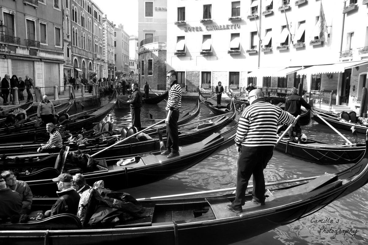 The profession of gondolier