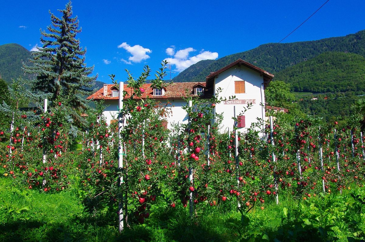 Meleto in Trentino - Merano