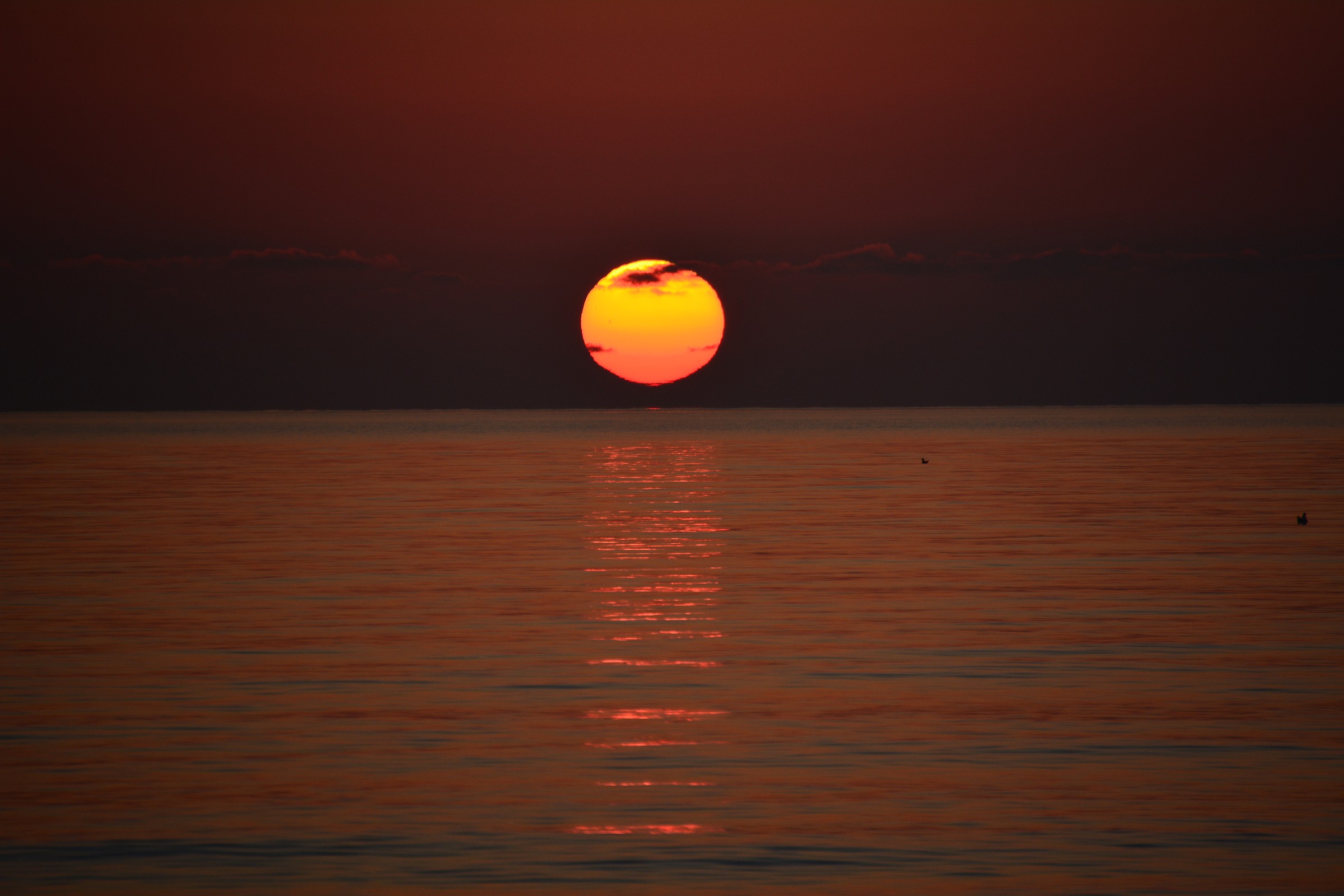 Pietrasanta 10 dicembre 2013 ore 16.35 n°1
