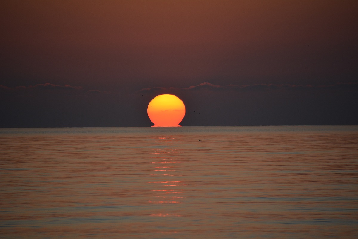 Pietrasanta 10 dicembre 2013 ore 16.37 n°2