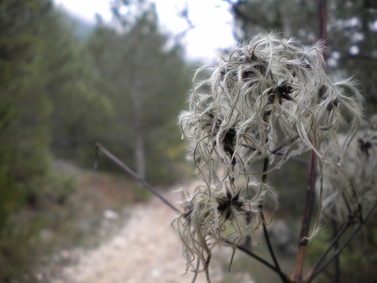 waiting for the wind