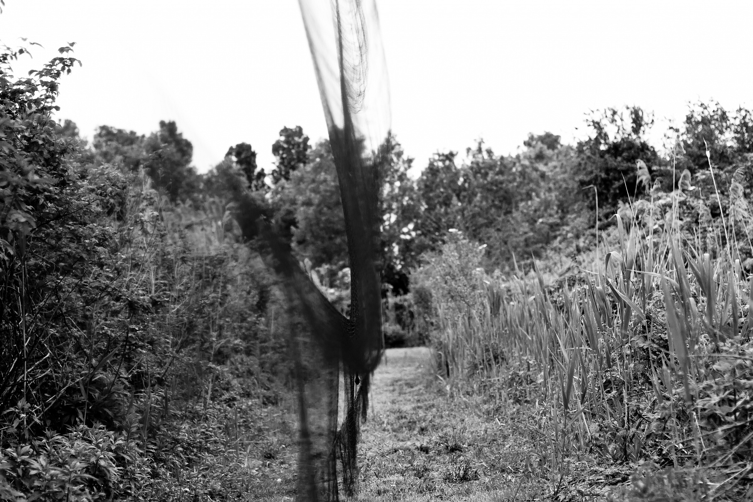 E' la felicità una torre trasparente