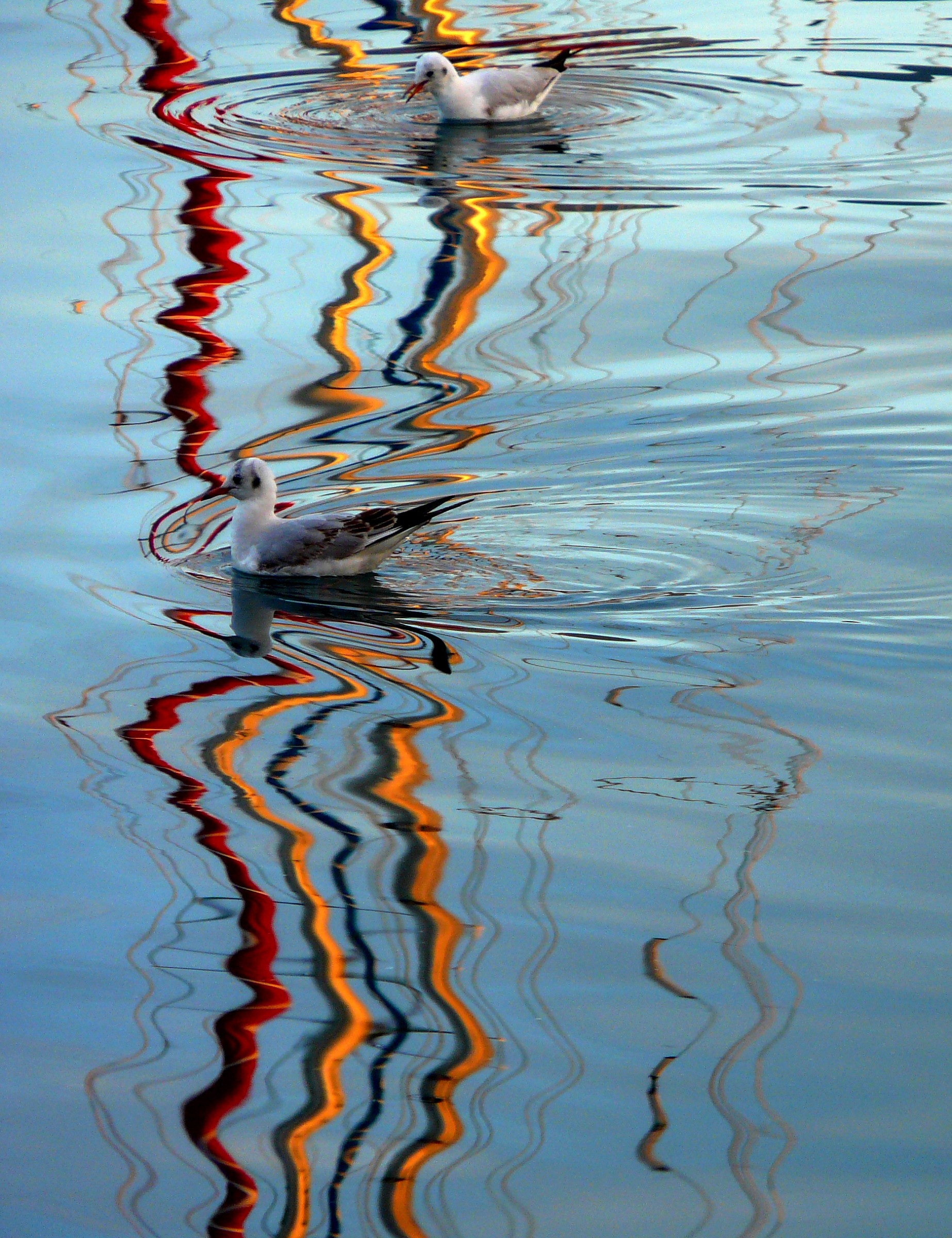 Composizione a Marina di Sestri Ponente