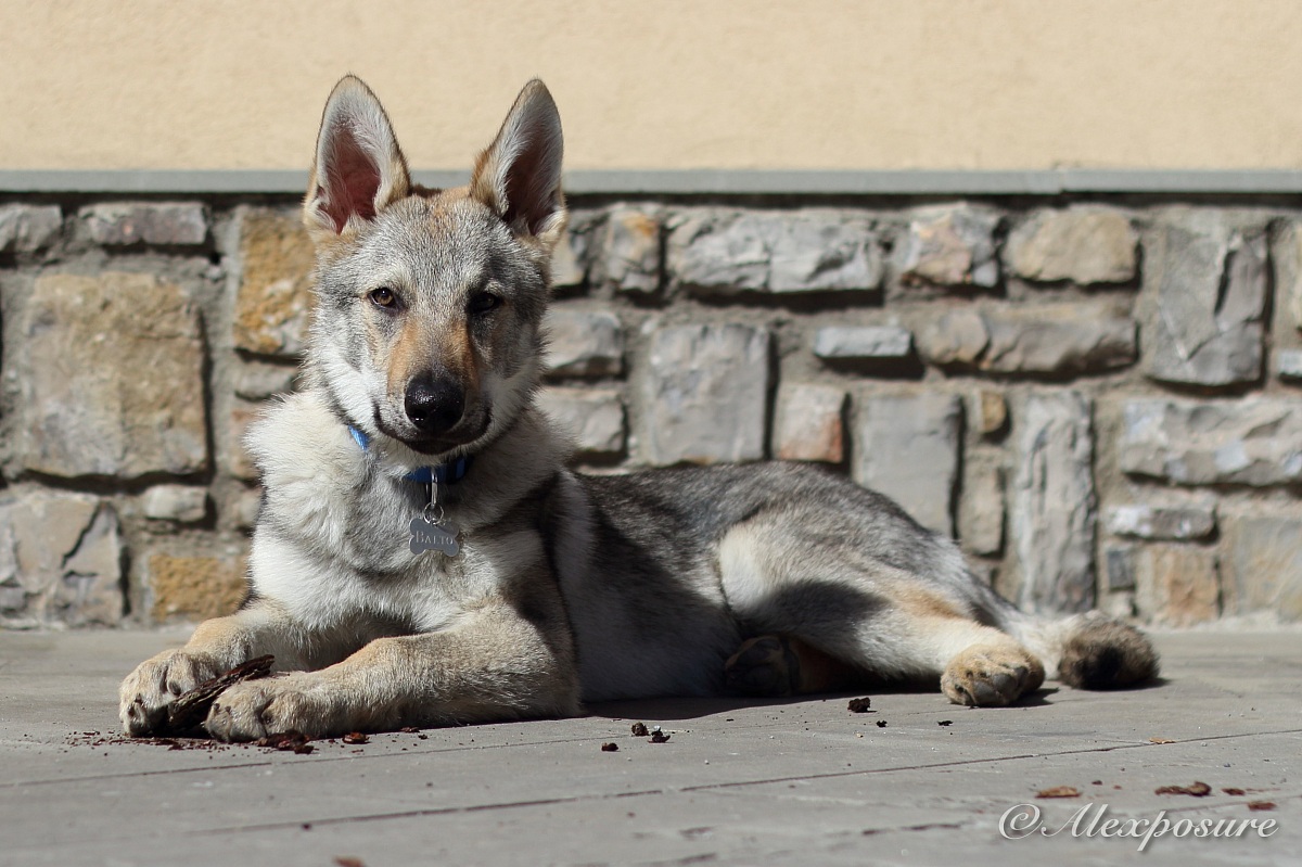 Sorrido o resto serio?