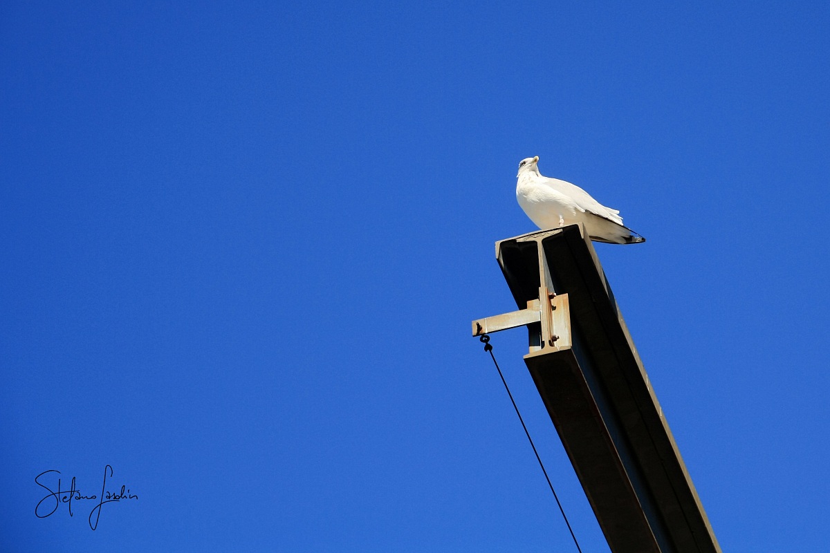 Aspettando il momento giusto