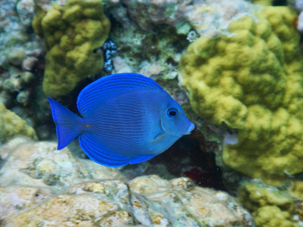 St. Jonh's - u.s. Virgin Islands