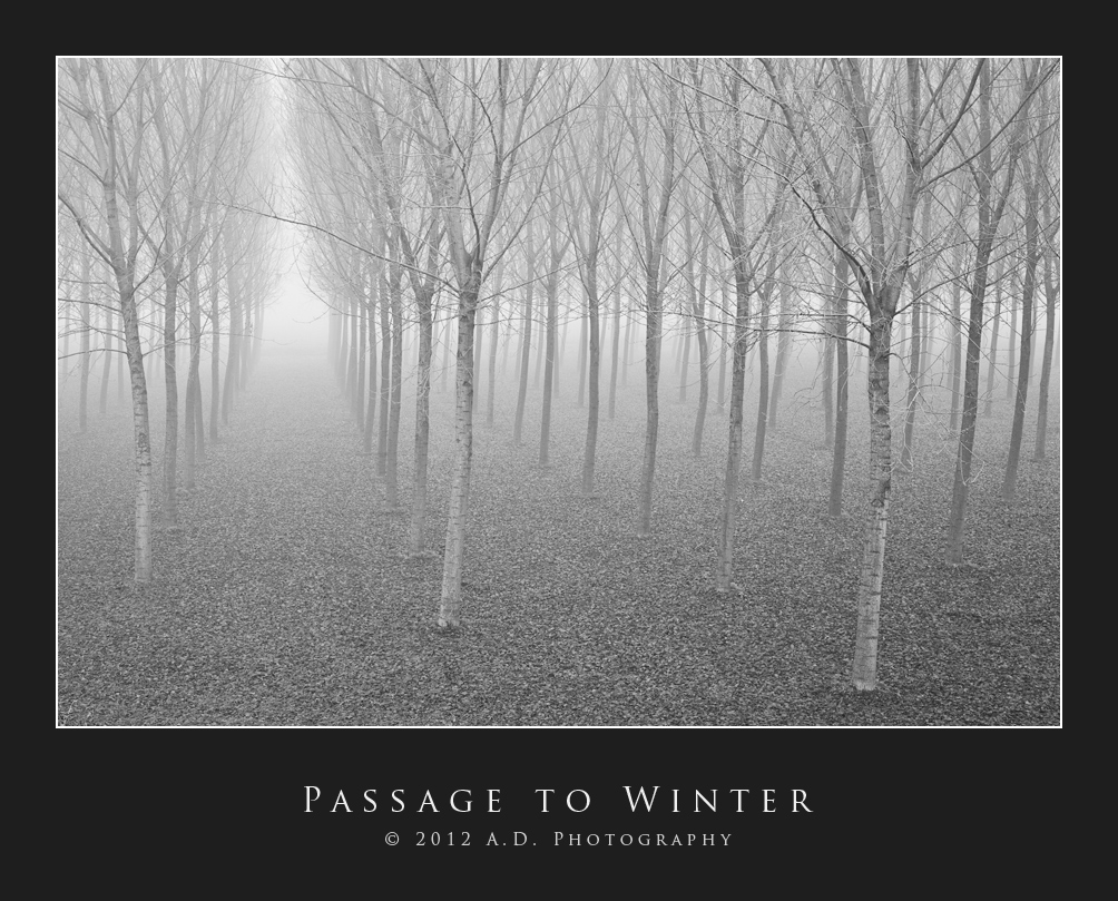 Passage to Winter
