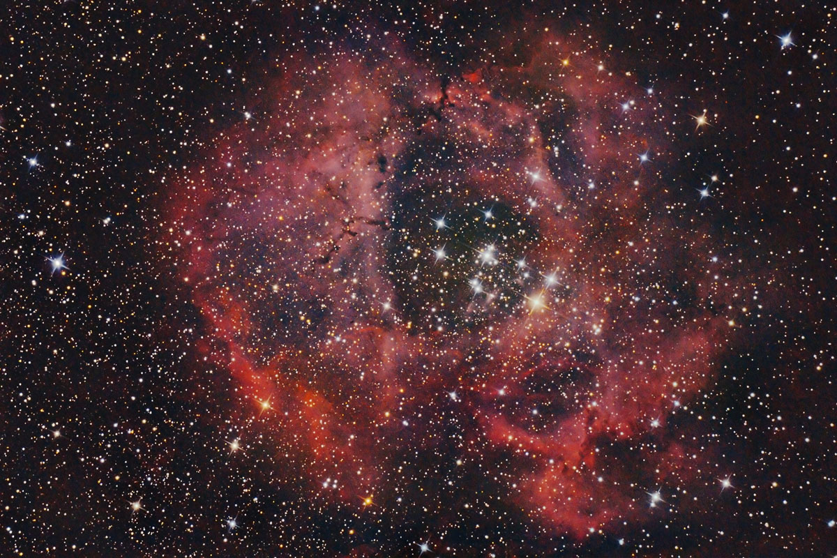 Rosette Nebula