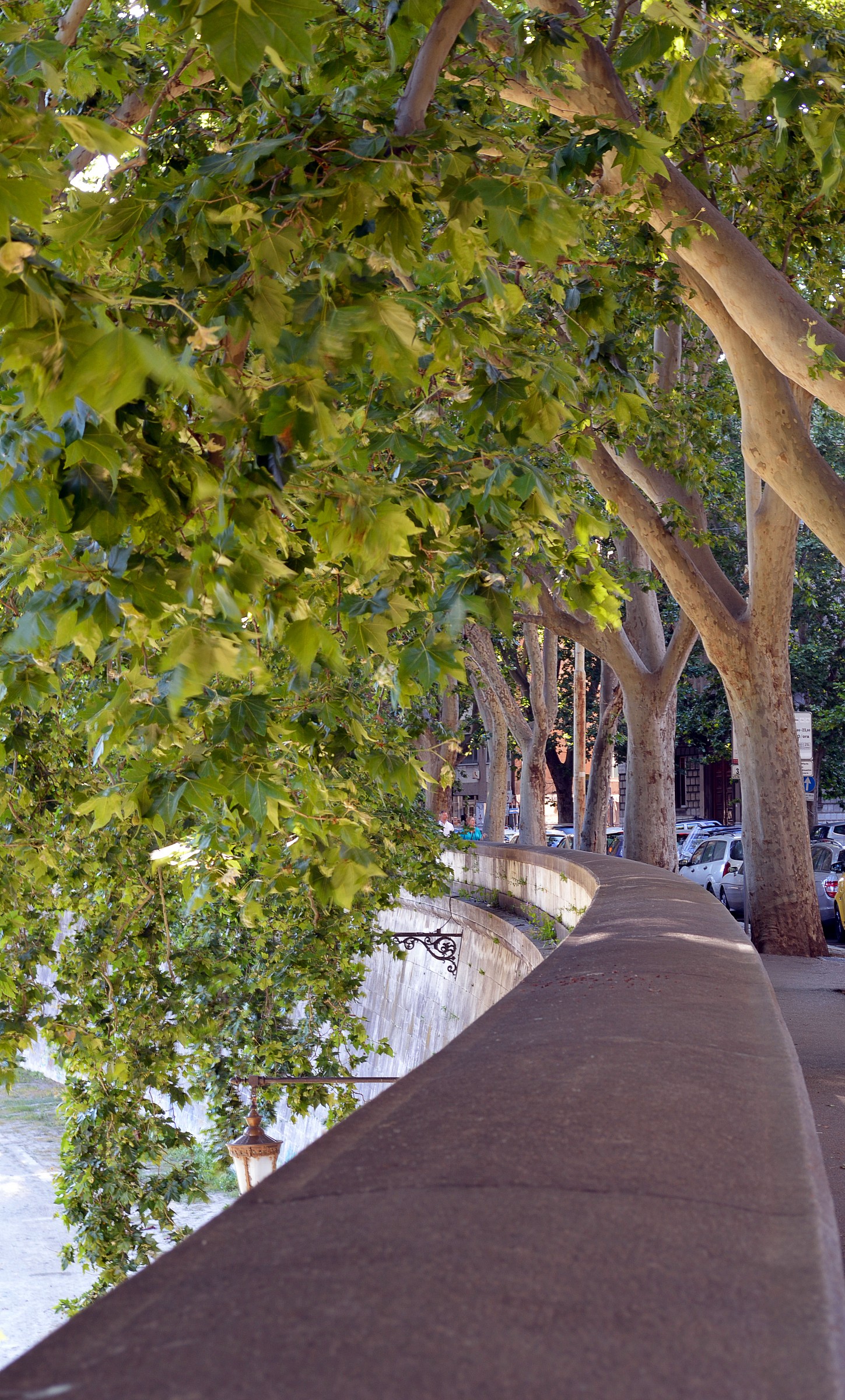 Of the Tiber Vallati