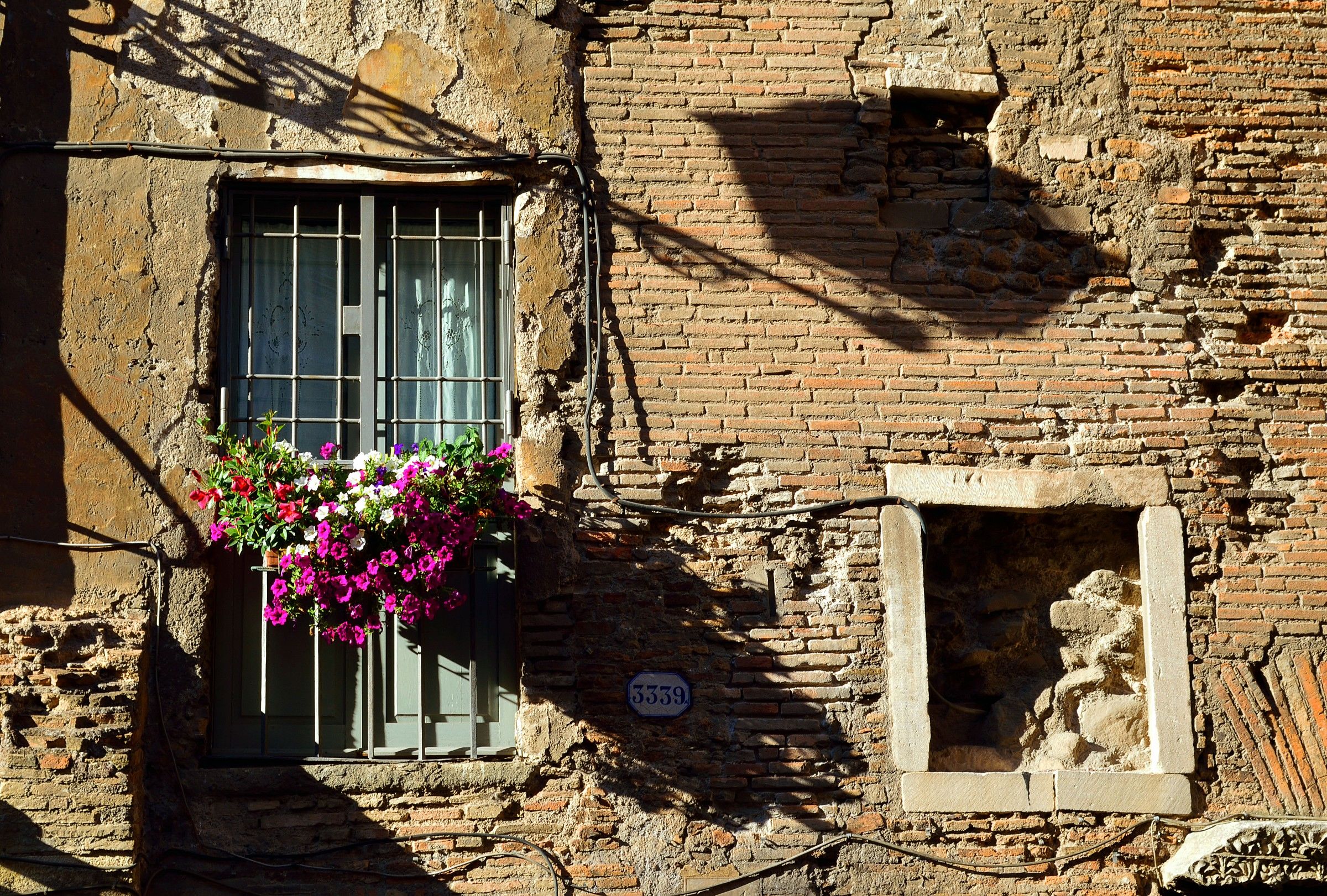 Glimpse medieval al Portico d'Ottavia