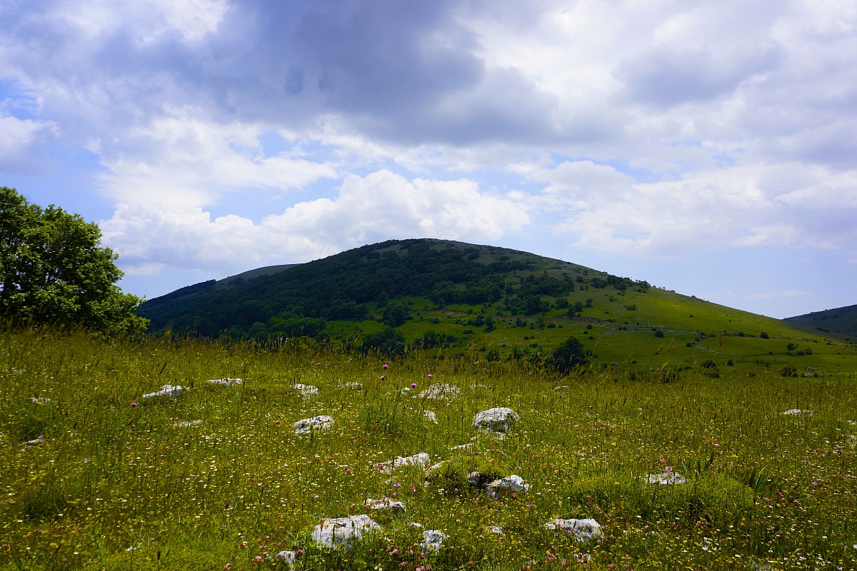 Sua Maesta'...Monte Calvo