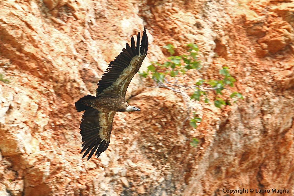 Sorvolo tra le rocce