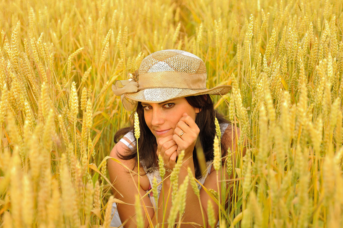 In a field of wheat ... ...