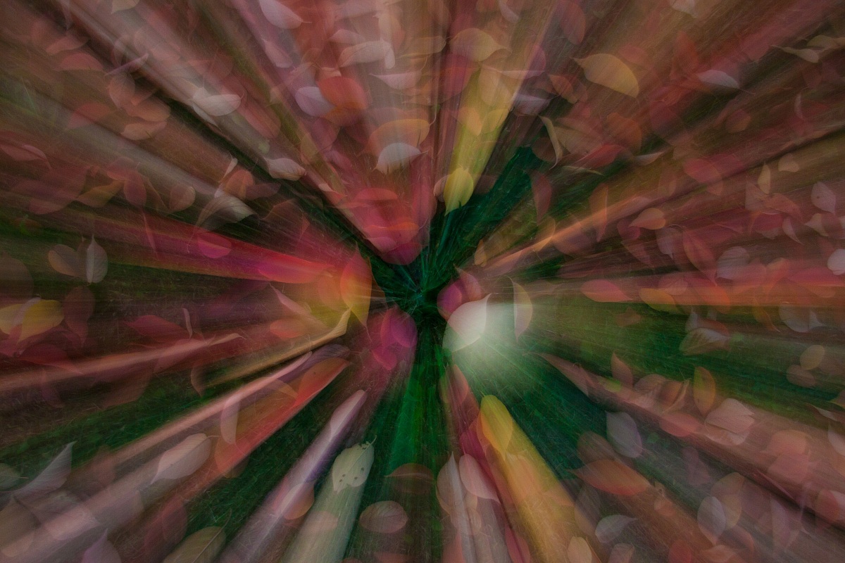 Even a hint of autumn