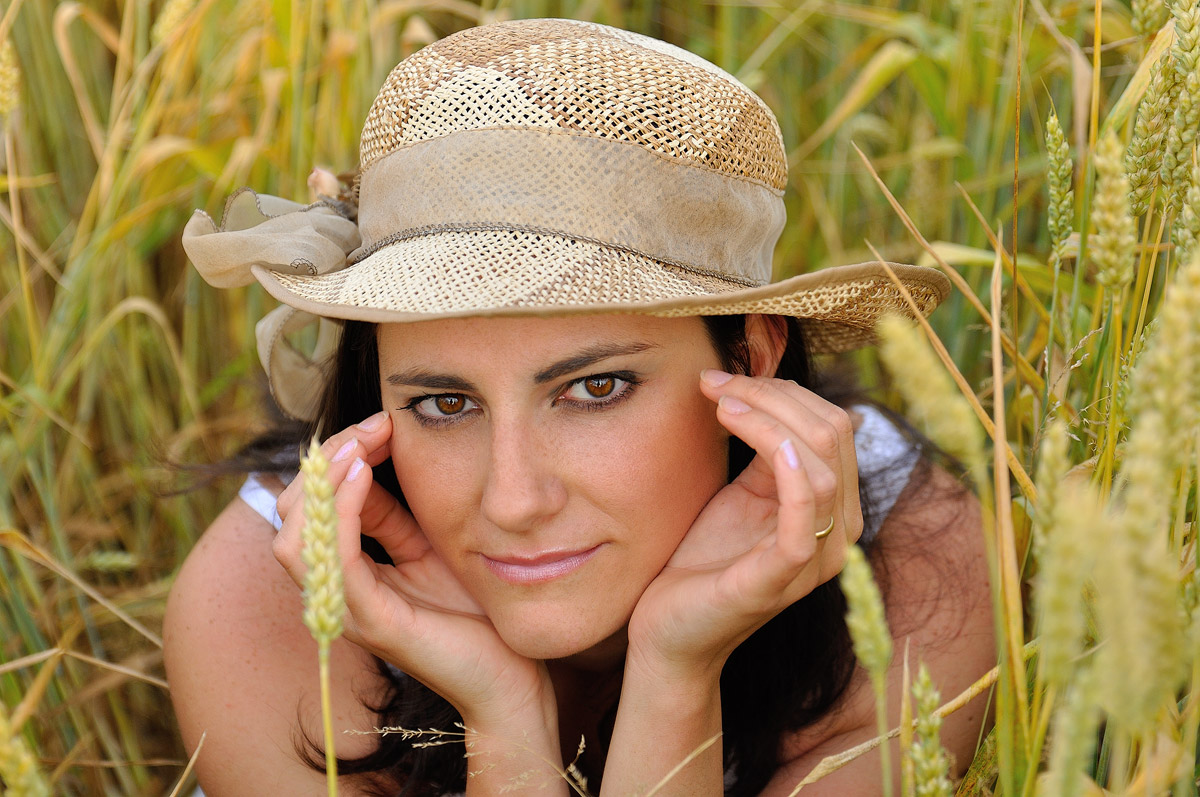 ... A flower in a field of wheat ...