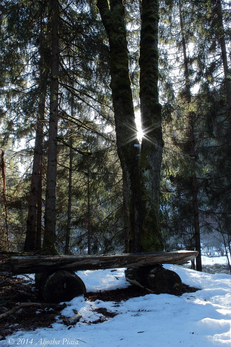 Un posto tranquillo...