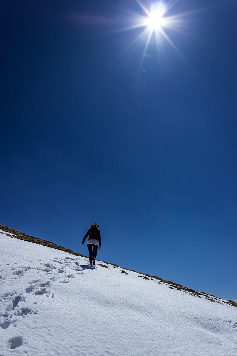 Walking to the sunshine