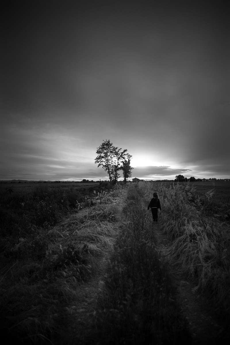 la strada verso Casa 2