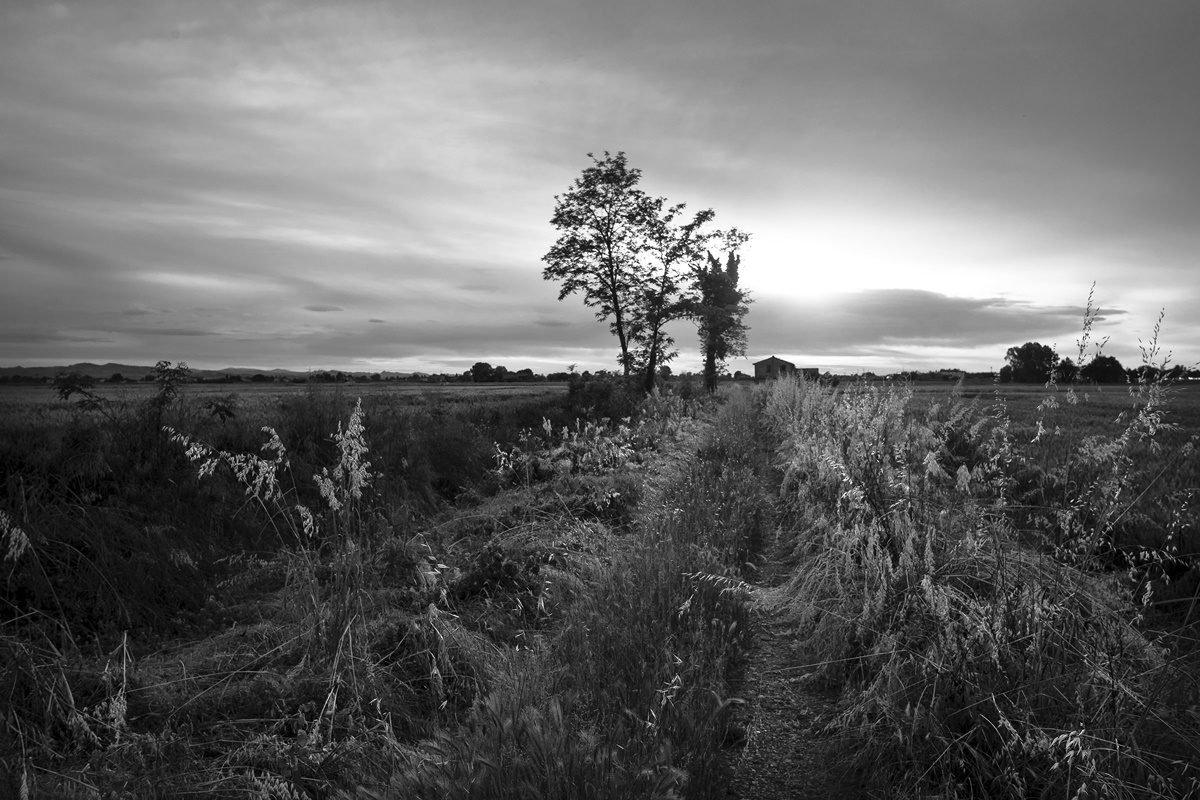 la strada verso Casa