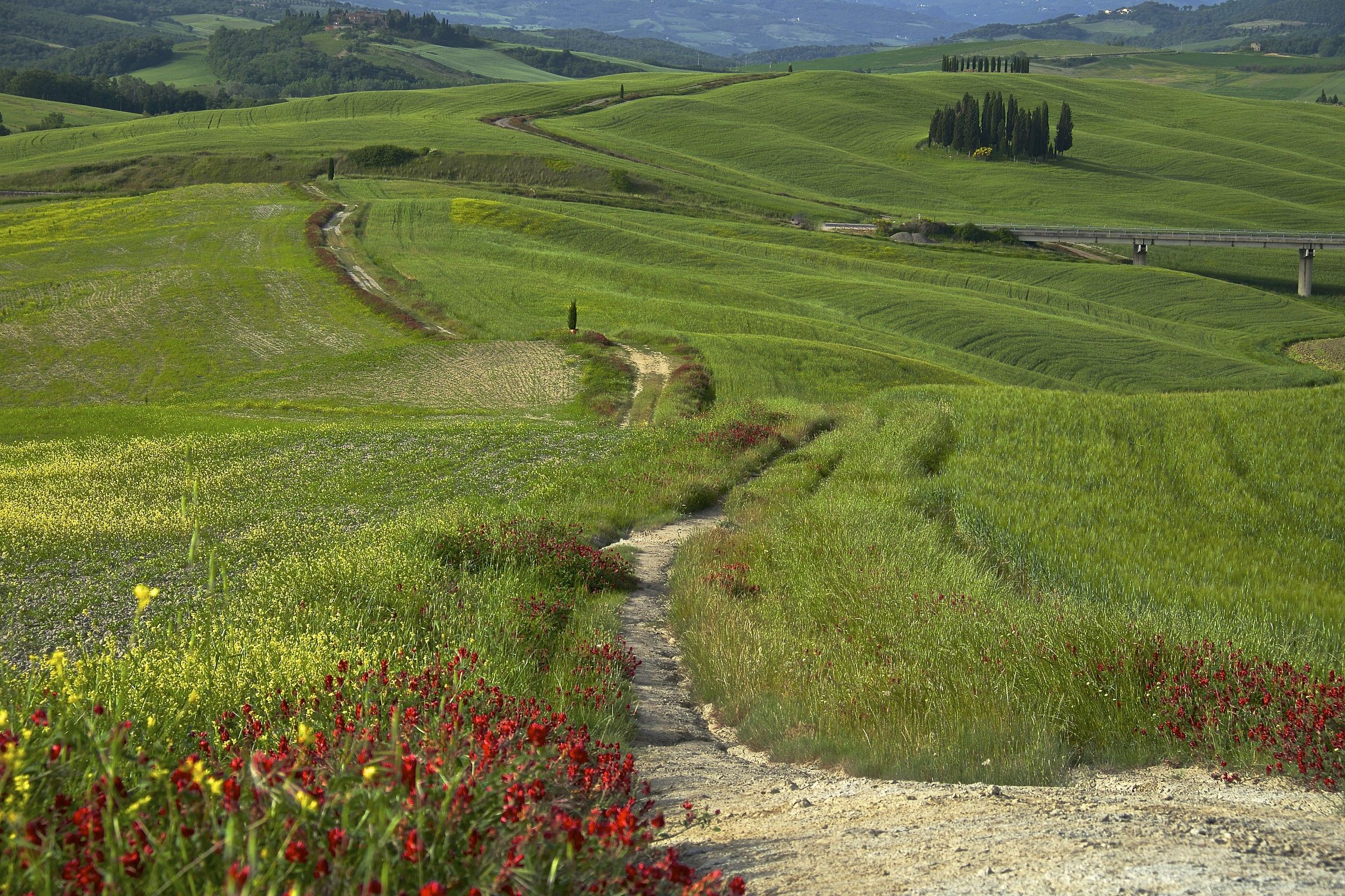 una bella giornata..