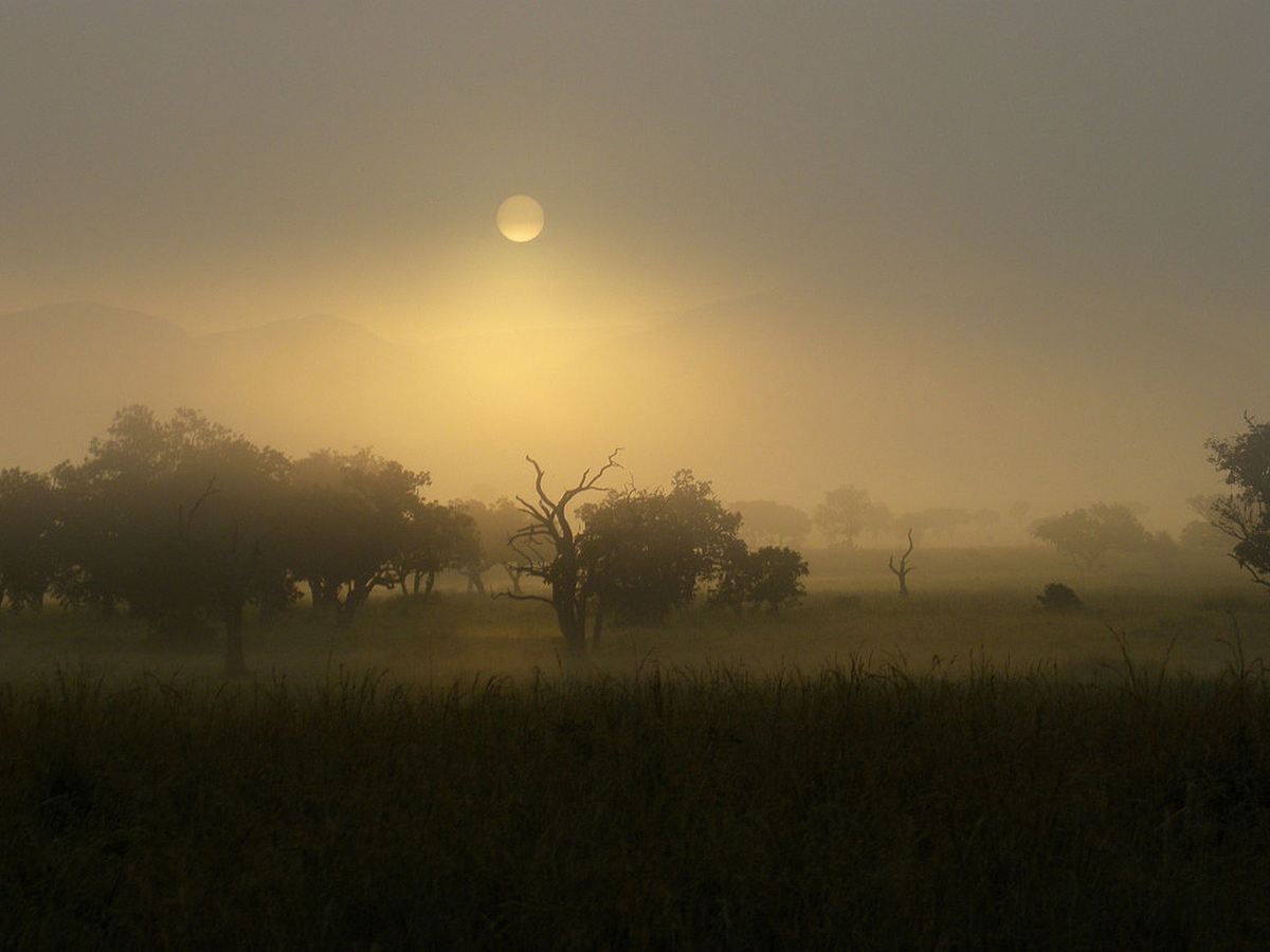 African sunrise