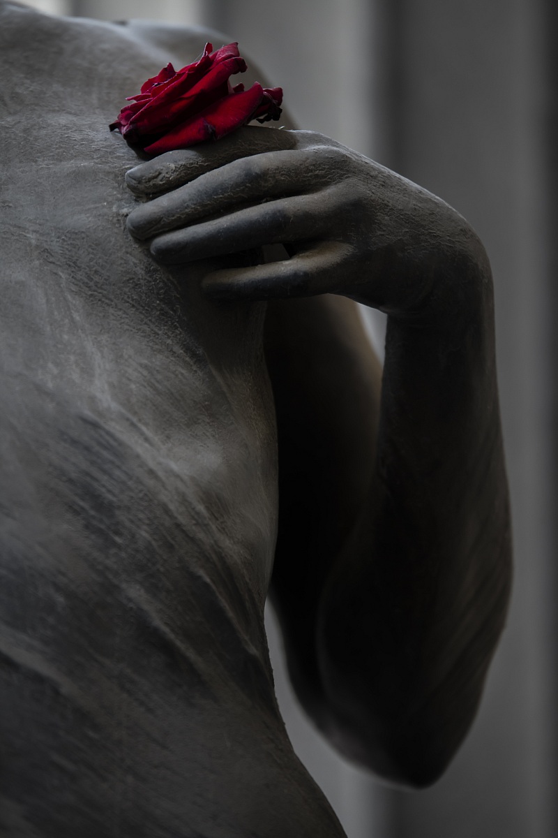 The Rose in the Heart