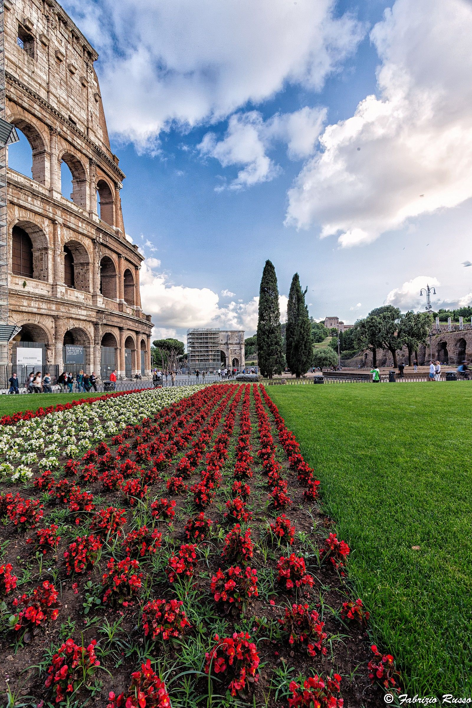 Colosseo in piena fioritura
