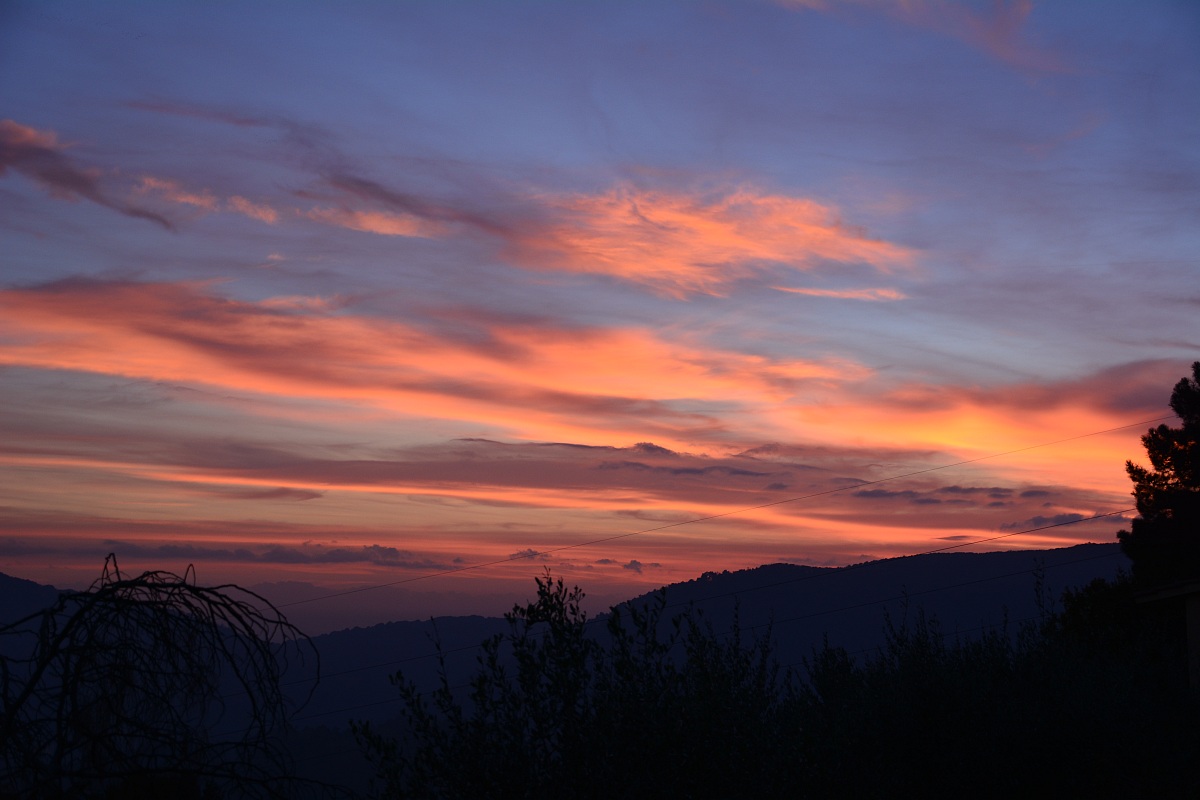 Pietrasanta December 11, 2013 ore 17:49