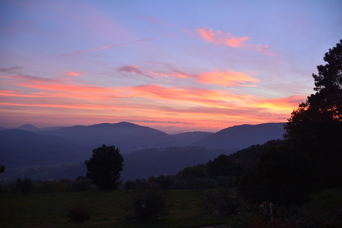 Pietrasanta ore December 9, 2013 16:51