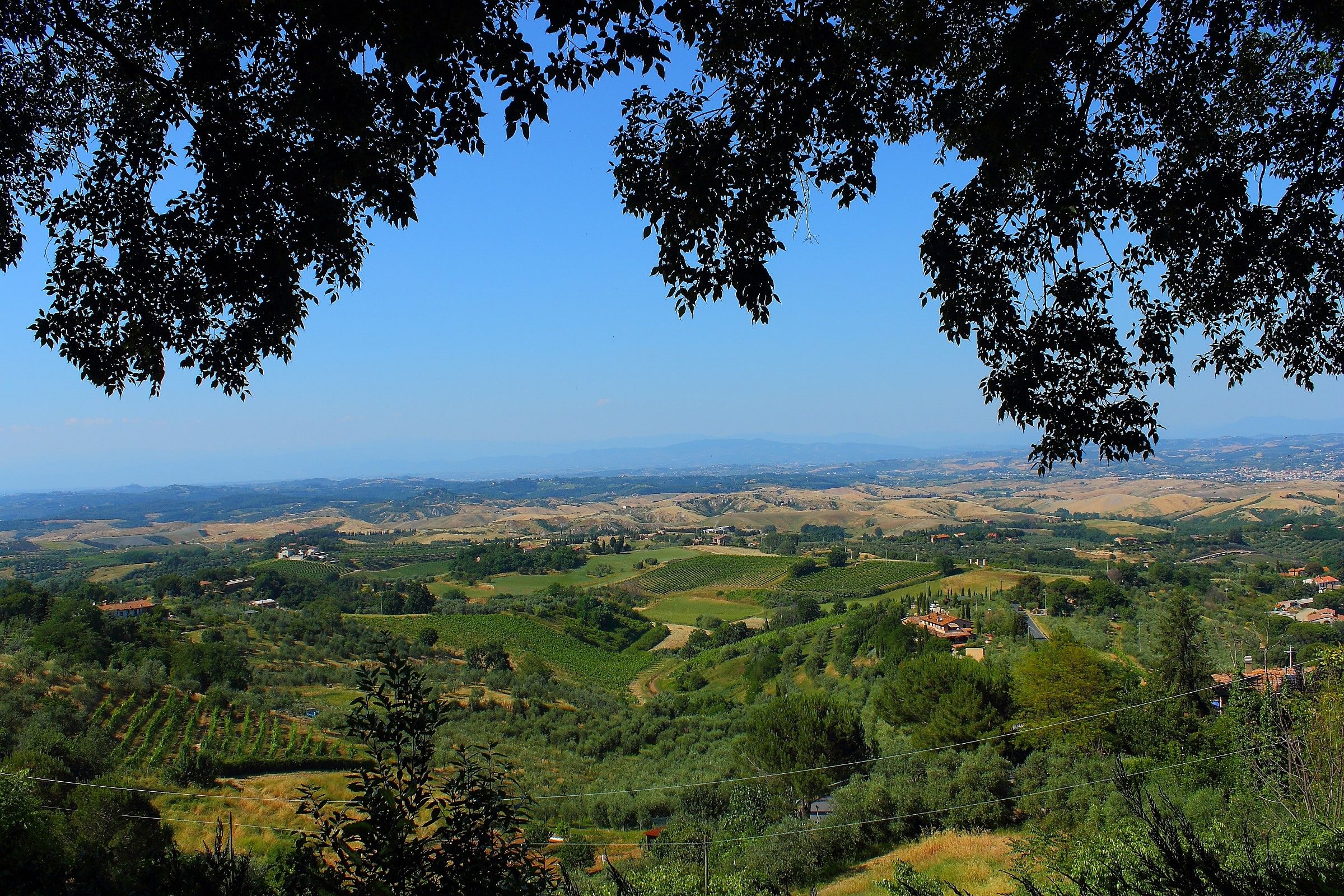 View of the Tuscan hills from Montaione.