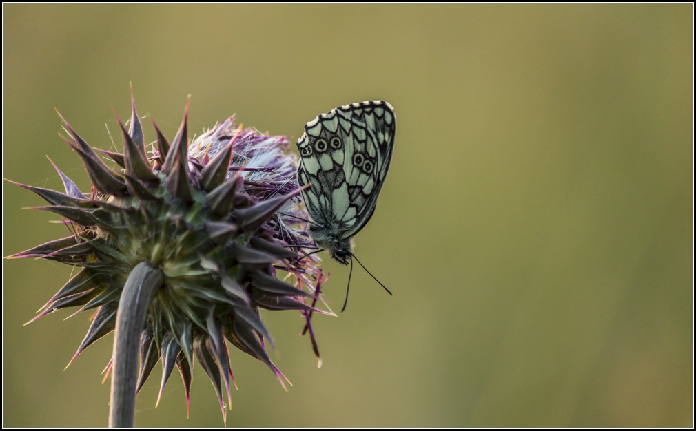 Waiting for sleep ...