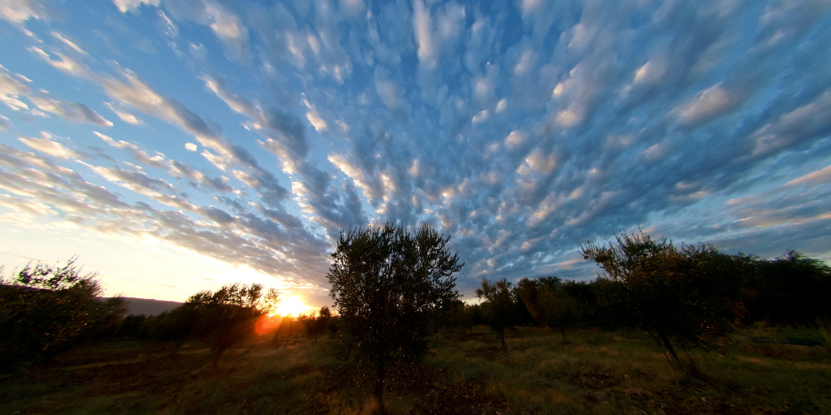 Campagna garganica 1