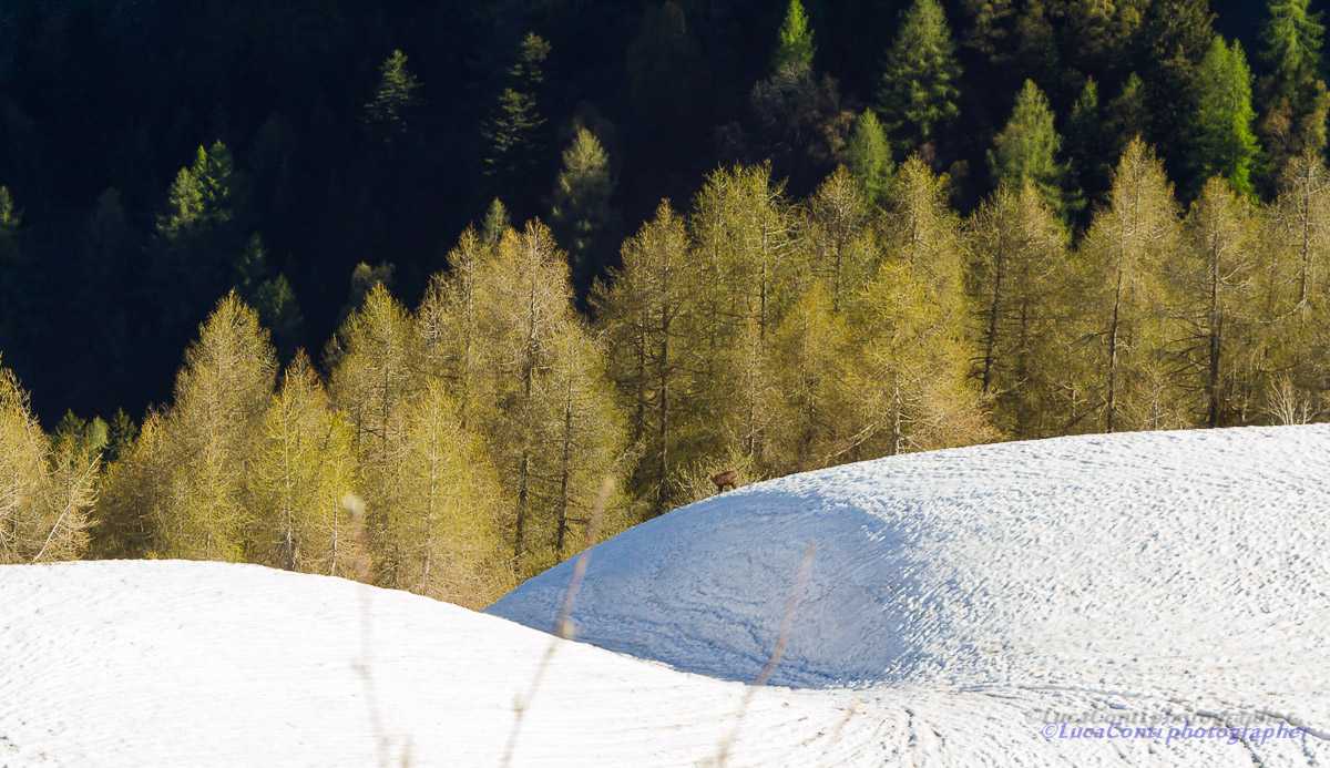 Alps Orobiche, Valsassina