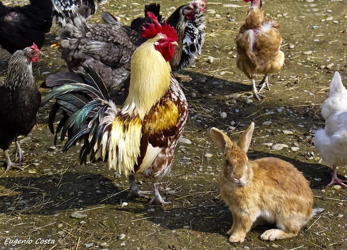 I am the most beautiful ...