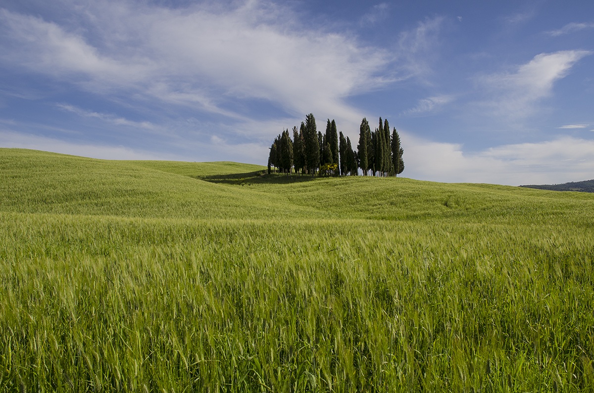 Il santuario della fotografia
