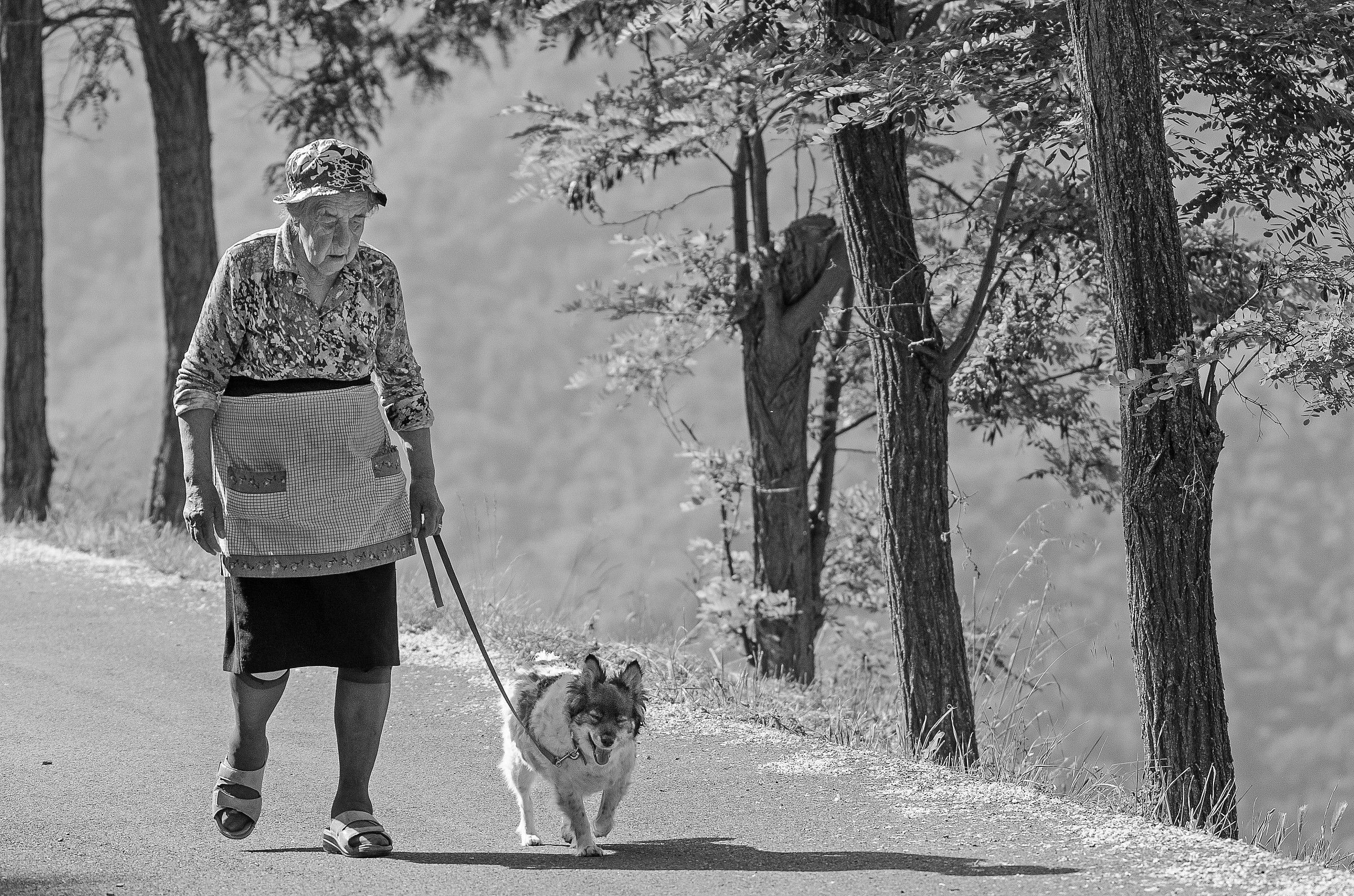 Two steps with trust ..