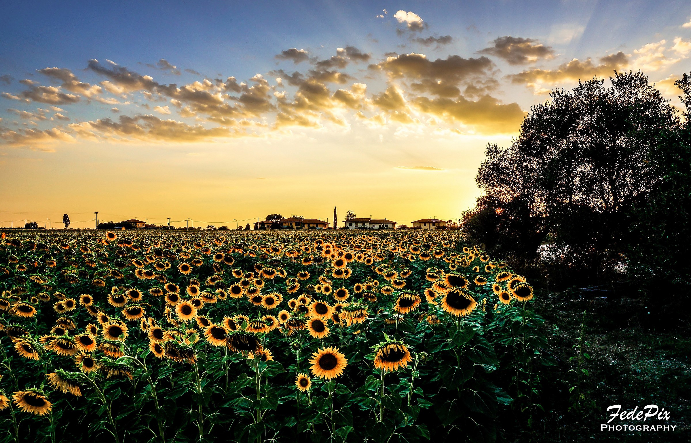 Tramonto nella mia amata Toscana