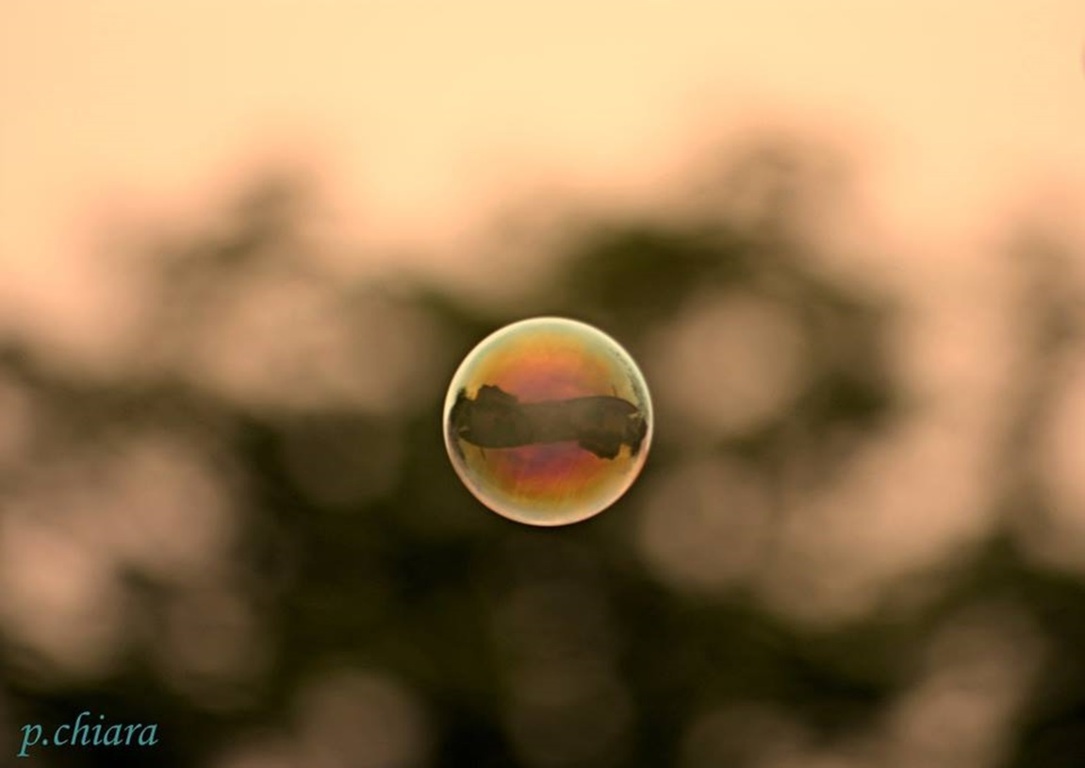 un sogno in una bolla