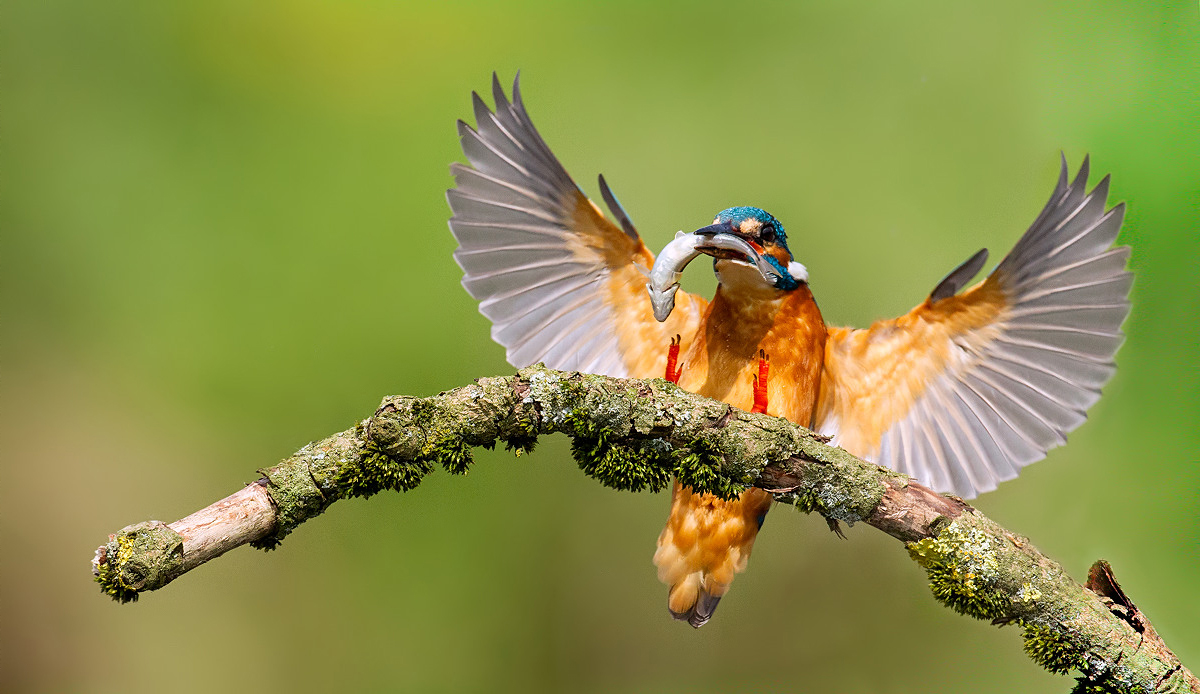 .................. Ooo