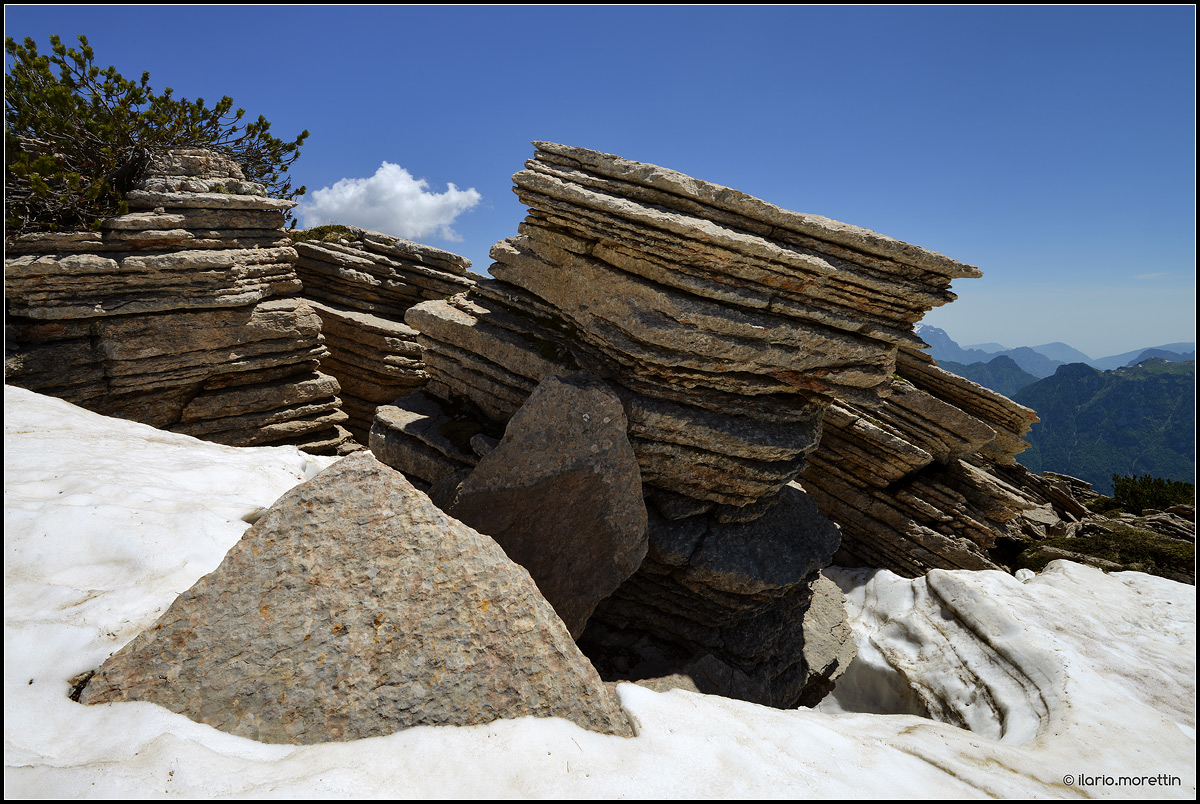 The books de San Daniel_2