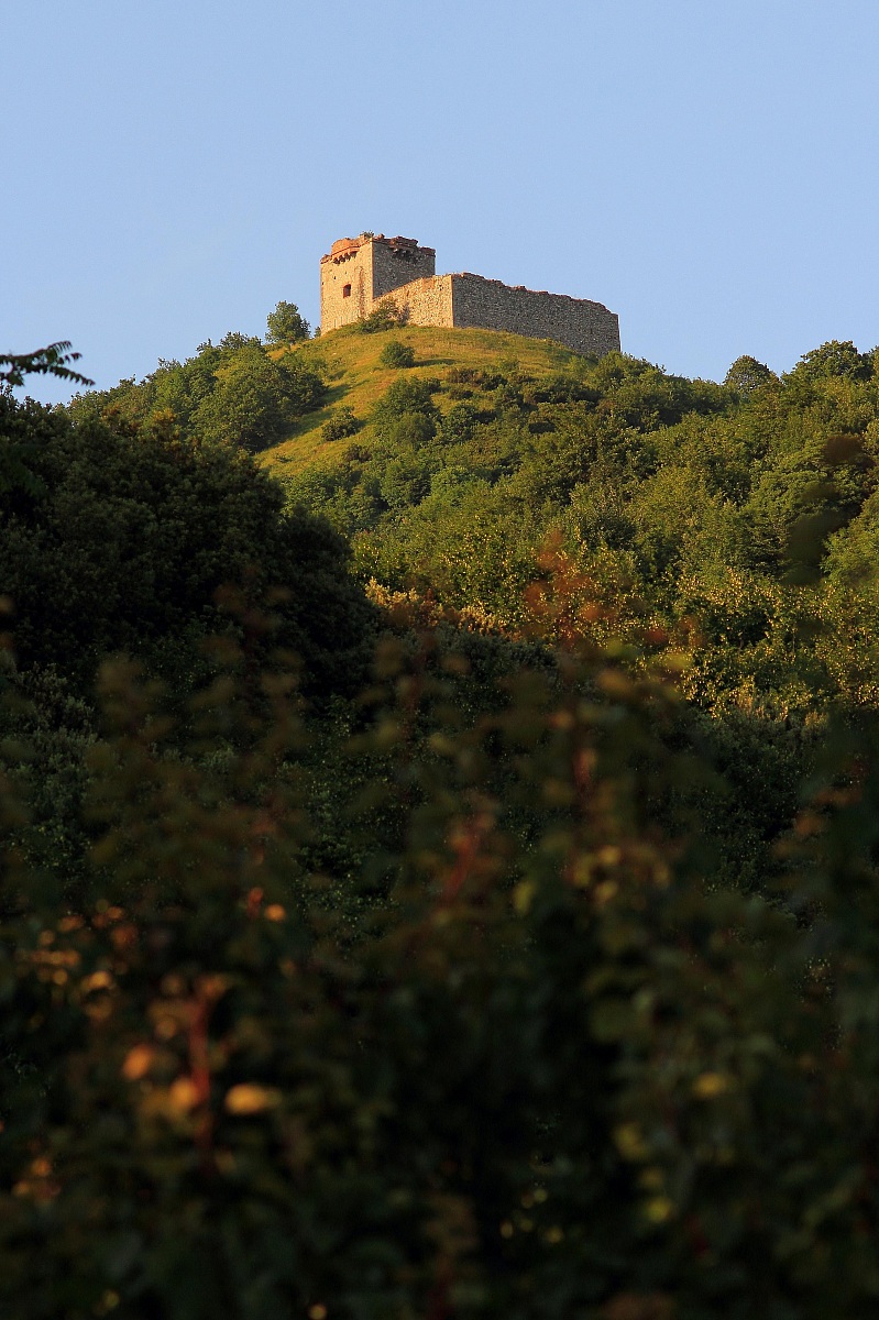 Strong Younger Brother