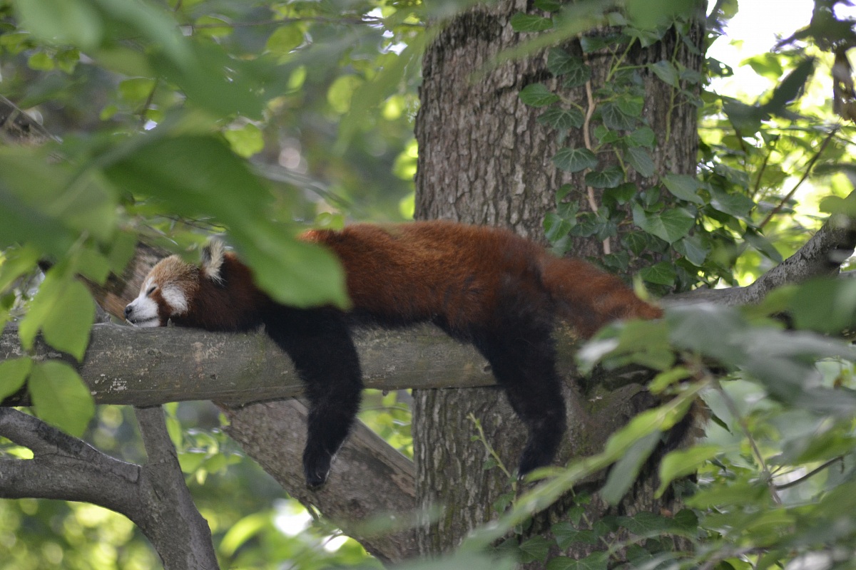 Torbiera di Agrate conturbia