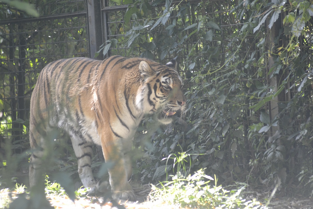Torbiera di Agrate conturbia