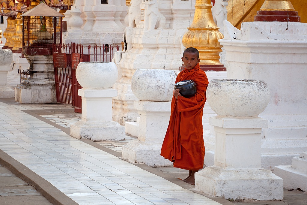 Young monk