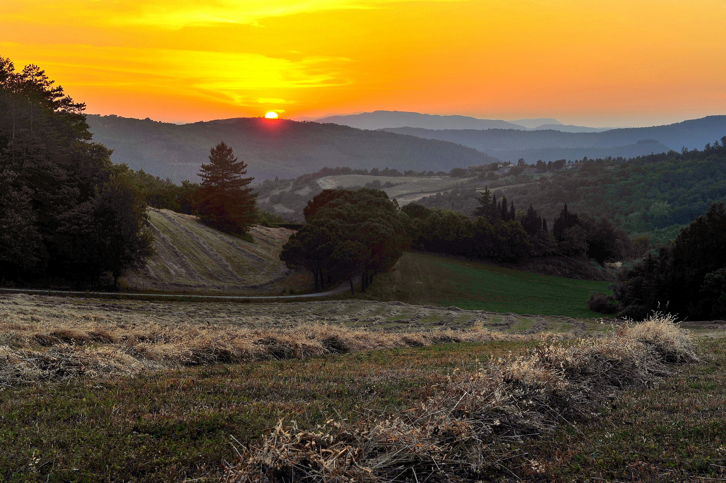 Toscana/Mugello - Falciatura di Giugno