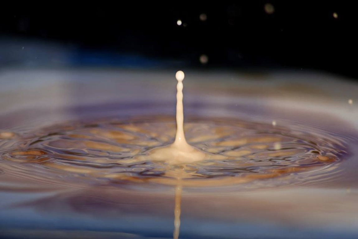 goccia latte e caffe', stelo